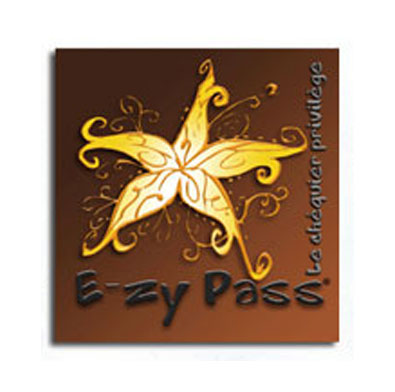 PSWP--portfolio-logo-E-Zy-pass