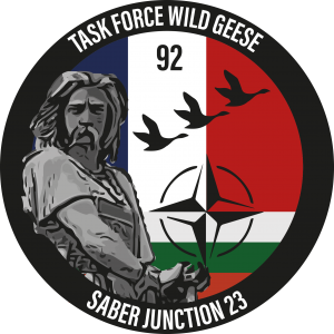 Insigne-task-force-wild-geese-saber-junction